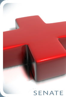 Senate Consultancy Services
