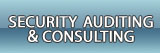 Auditing & Consultancy